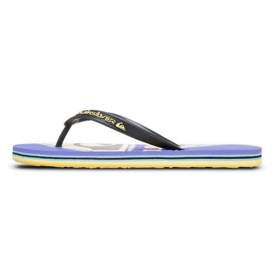 Quiksilver Molokai Screen - Flip-Flops for Men